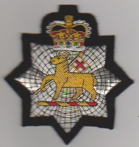 Queen's Royal Regiment (West Surrey) Silver blazer badge - Click Image to Close